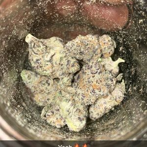 Meet your Posher, Tejuan